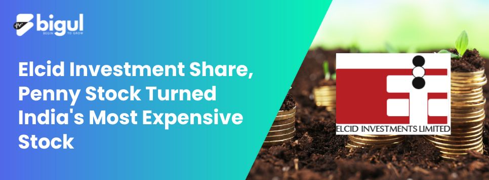 Elcid Investment Share